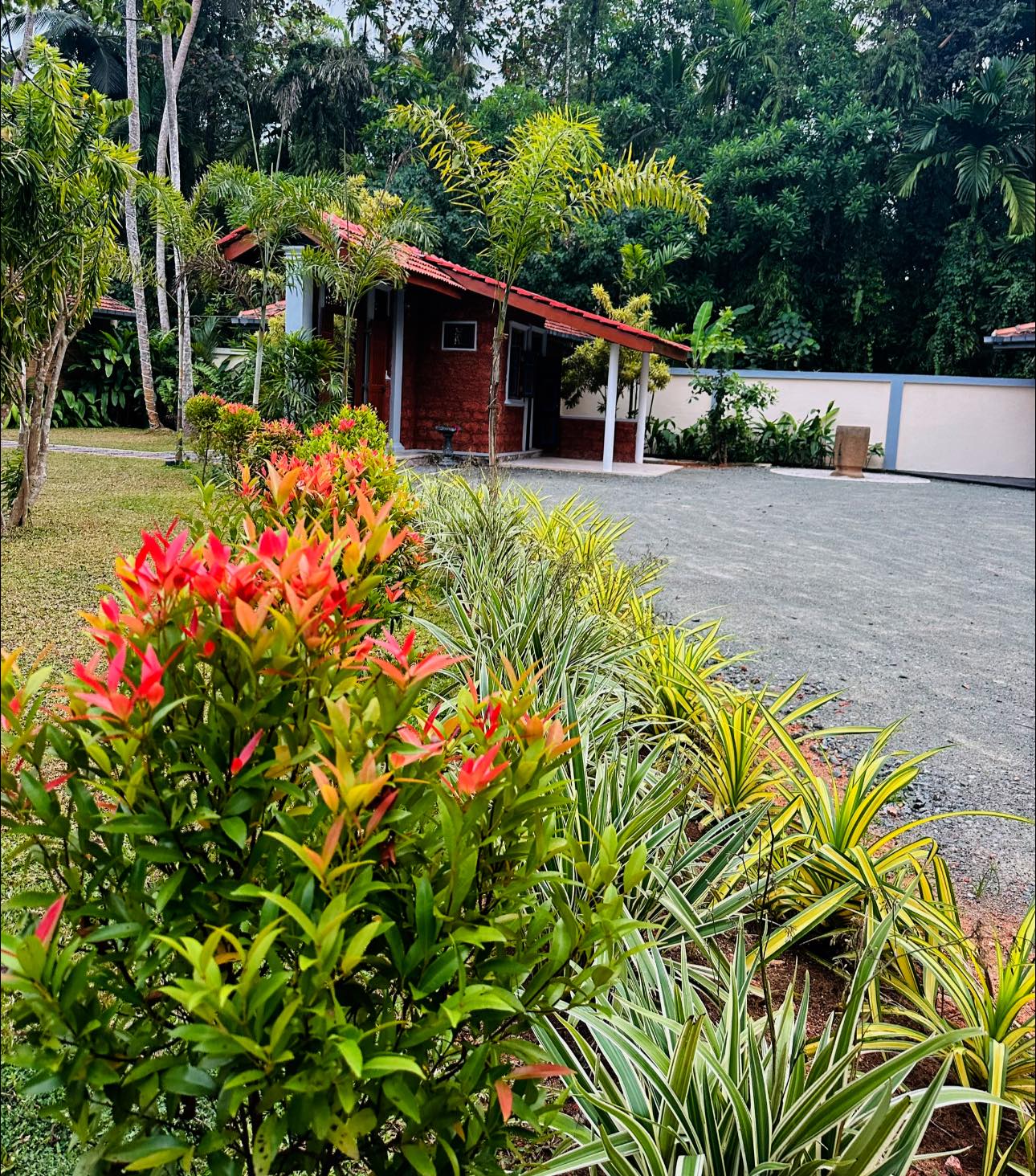 Garden path and cottage