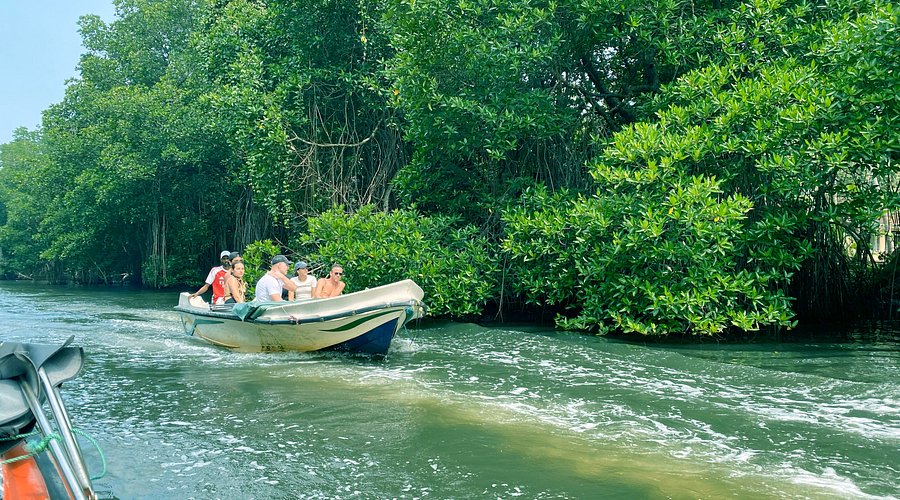 Bentota river safari near Rockery Villa Cottage